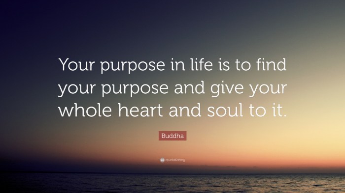 Life purpose find quote quotes soul buddha heart our give williamson marianne feather william whole challenges face bank account business